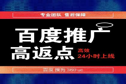 百度竞价SEM案例研究：提升转化率的关键策略